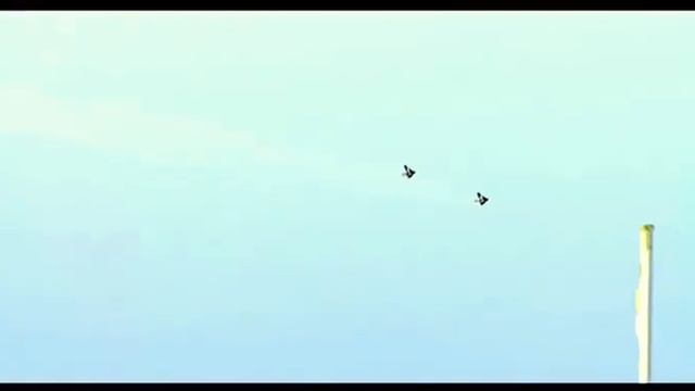 Aldo Lesina - Together