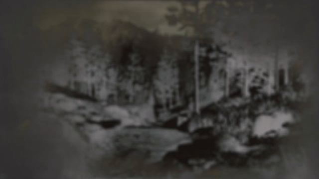 Opossum, American Bullfrog, Oxen and Creeping Thyme Locations Daily challenges Red Dead online Ps4 смотреть онлайн