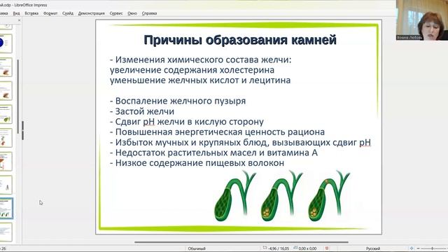 Как сохранить желчный пузырь смотреть онлайн