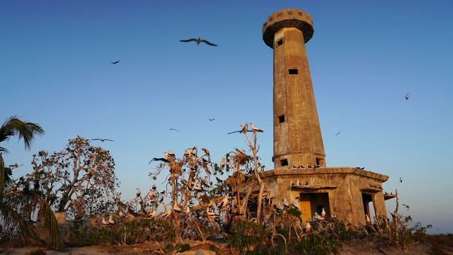 Marco Vincent Dive Resort-Tubbataha смотреть онлайн