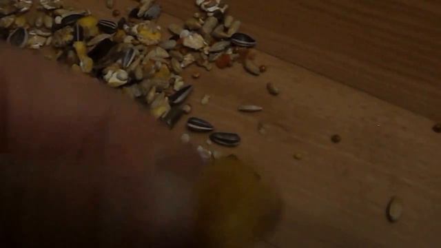 покупки из зоомагазина смотреть онлайн