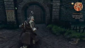 ШОК КОНТЕНТ!!! ПРОХОЖУ СКВОЗЬ СТЕНЫ!!! The Witcher 3: Wild Hunt