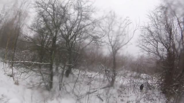 ПОГОНЯ ЗА КУНИЦЕЙ#ТРИ ЧАСА ПРЕСЛЕДОВАНИЯ# смотреть онлайн
