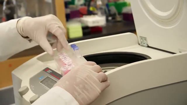 Harvard School of Public Health launches Sabri Ulker Center смотреть онлайн