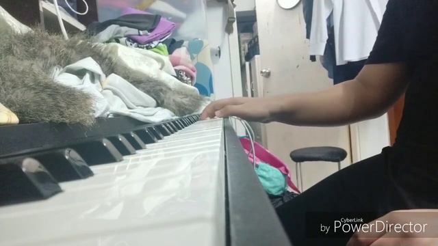 Not a JoJo reference смотреть онлайн