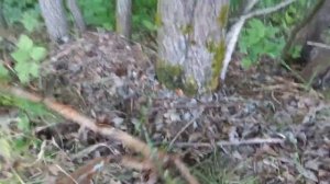 MD 4030 - КОП МЕТАЛЛОЛОМА НА ДЕРЕВЕНСКОЙ "СВАЛКЕ"