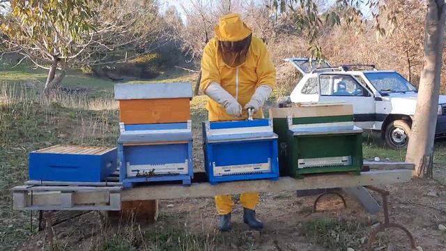 apicoltura, posa del melario смотреть онлайн