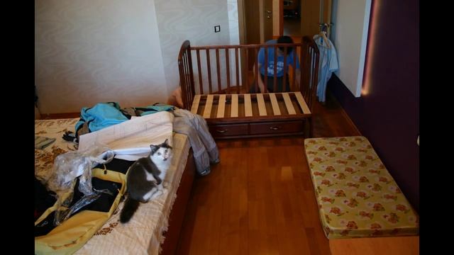 Замедленная сборка кроватки смотреть онлайн