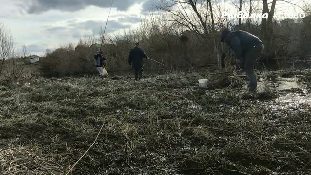 ПЛОТВА в ручье ПОШЛА НА НЕРЕСТ мощные поклёвки весенней плотвы