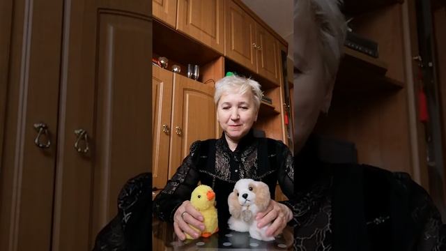 Игровая математика с цыплёнком Пипой и щенком Тяпой смотреть онлайн