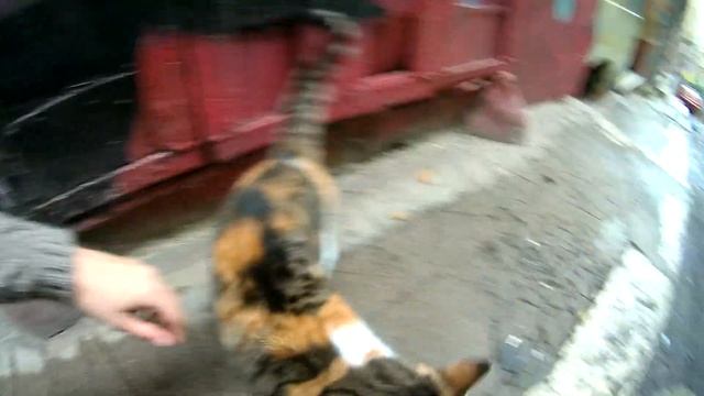 Стамбул - колоритный город Турции. Что посмотреть за 3 дня смотреть онлайн