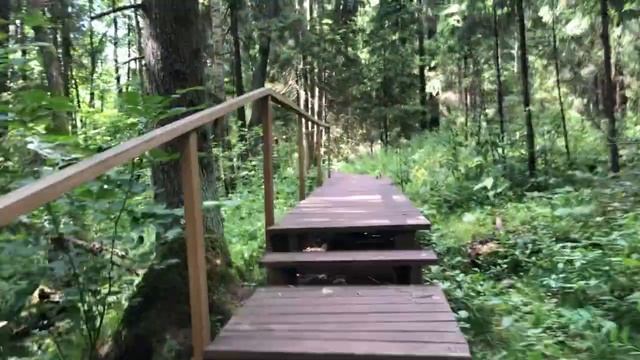 Знаменитая экотропа "Святые Криницы" под Минском 2021 смотреть онлайн