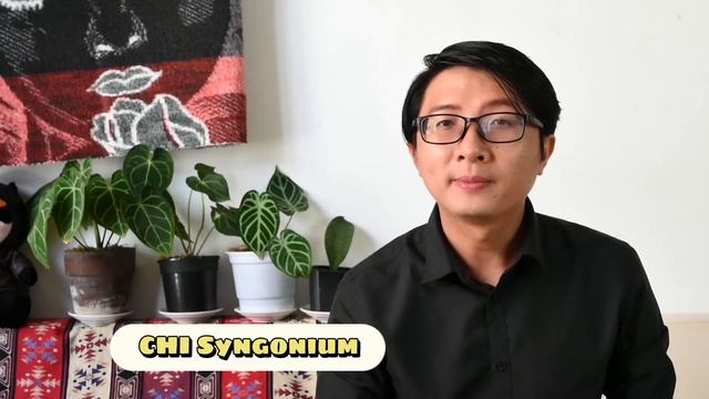 Ep 1: Những Loại Cây Nên Trồng ở Chung Cư Thiếu Nắng - Indoor Plant [Tu Yours]