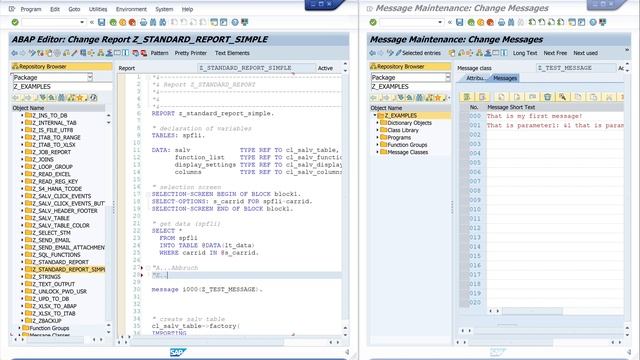 Message Classes - How to Create and Use in SAP ABAP [english] смотреть онлайн
