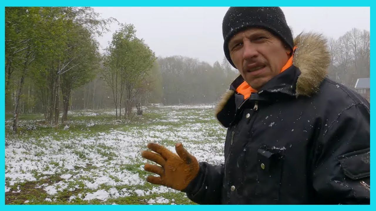 Деревенские будни "холодного мая 24 года...." / Жизнь в деревне смотреть онлайн