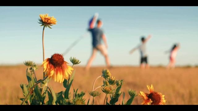 sunflowers #Sony A58alt смотреть онлайн