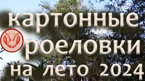 Картонные  ловушки повесил на деревья до сезона 2024 года. Западная Сибирь. Приеду через год