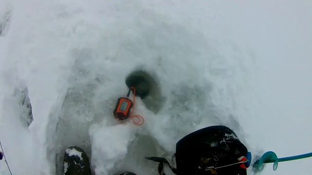 поиск и ловля судака и берша на реке Кама смотреть онлайн