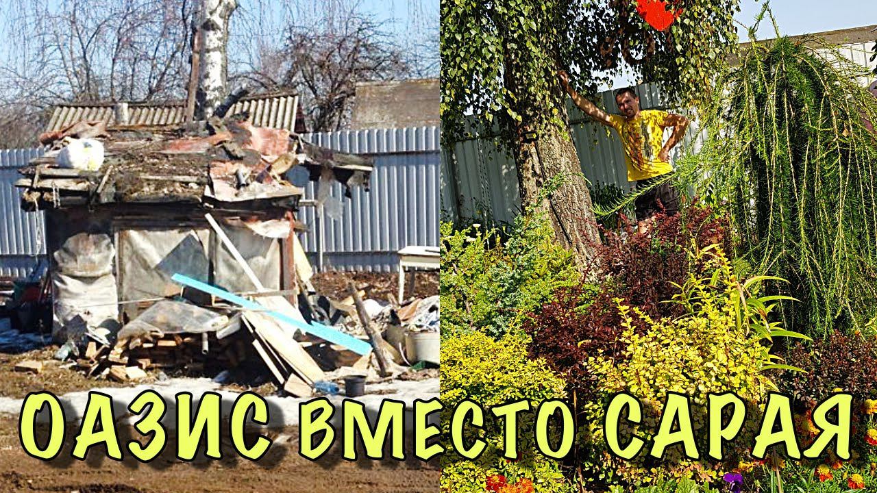 Миксбордер МОЕЙ МЕЧТЫ вместо СТАРОГО САРАЯ! смотреть онлайн
