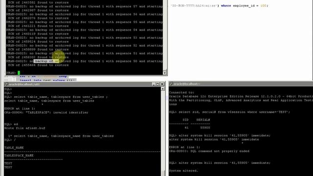[Oracle 12C] - Backup and Recovery Concepts | Học lập trình смотреть онлайн