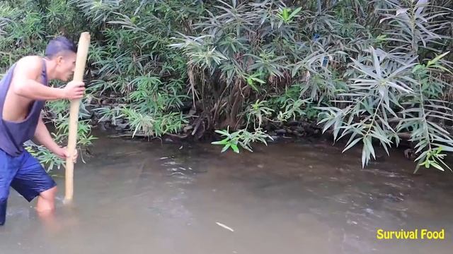 Skills Survival: Catfish Attacked Girl - Catfish Secret Tunnel Catching Fish Underground