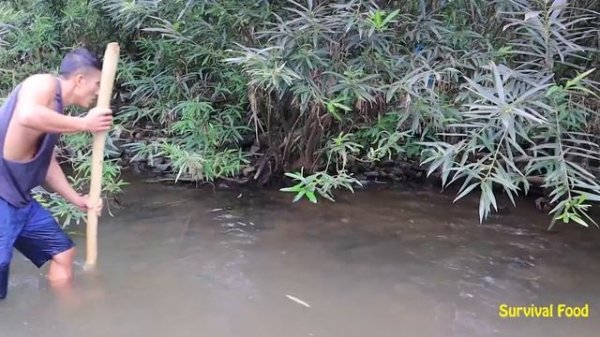 Skills Survival: Catfish attacked girl - Catfish secret tunnel catching fish underground