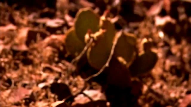 супер сооружения мост над колорадо смотреть онлайн