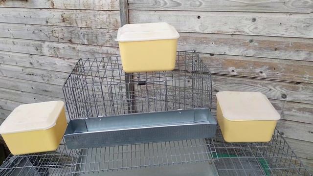 Клетка для перепелок.