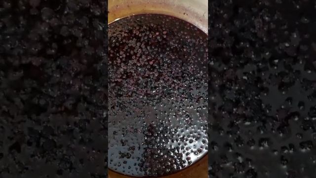 Кулинарная галерея вкуса