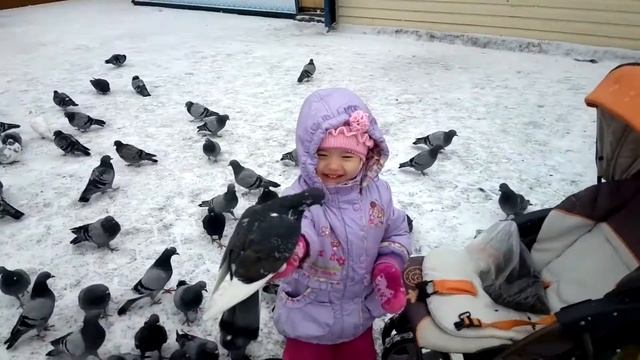 гули-гули, голуби смотреть онлайн