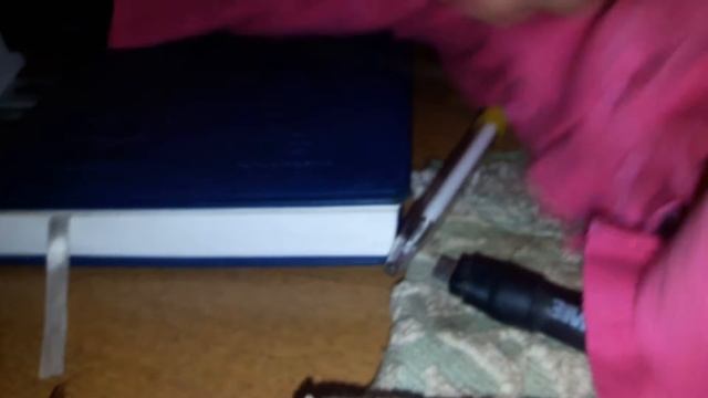 Самый большой таракан на планете смотреть онлайн