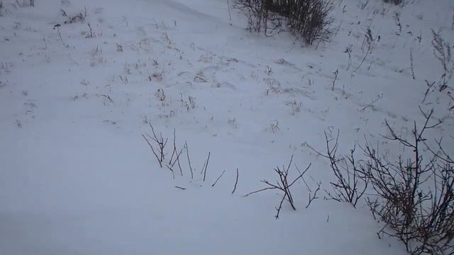 Ориентирование на местности зимой. Открытые пространства. Часть 1 смотреть онлайн