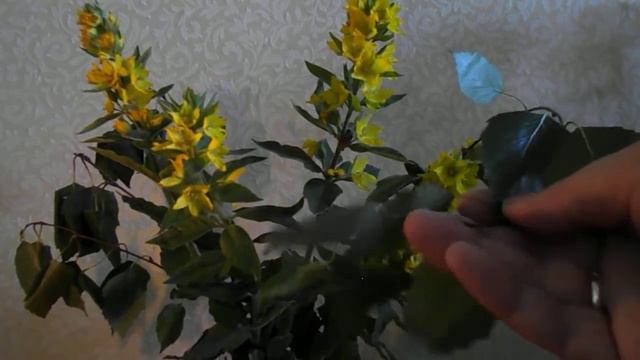 Встречаем день летнего солнцестояния 21.06.2021 смотреть онлайн