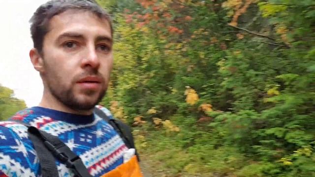 Сбор и продажа кедровой шишки. Поднимаю 20тыс.руб. за день. Тайга кормит смотреть онлайн