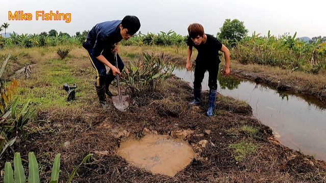 Terrified Giant Carnivorous Fish And King Cobra | Mike Fishing