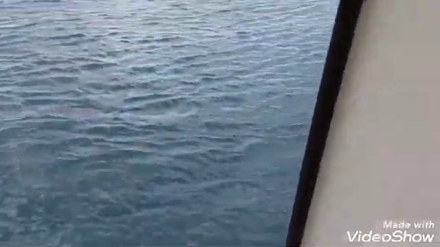 Вот за что Обожаю Стамбул, и поэтому живу здесь смотреть онлайн