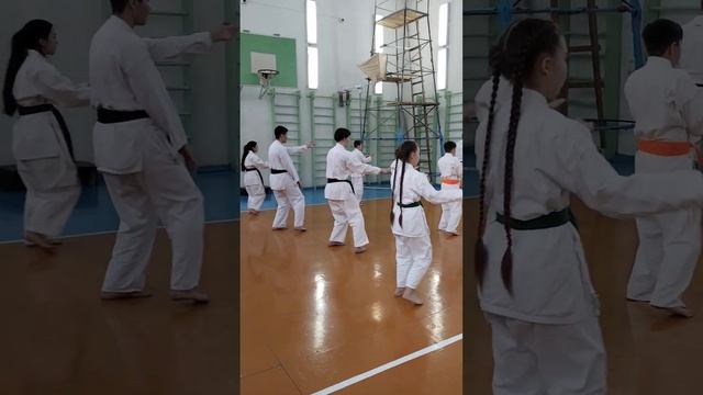 Kanshu 完周 kata Uechi ryu karate Hozonkai Bashkortostan dojo / students of Sensei GilManShin Dojo смотреть онлайн