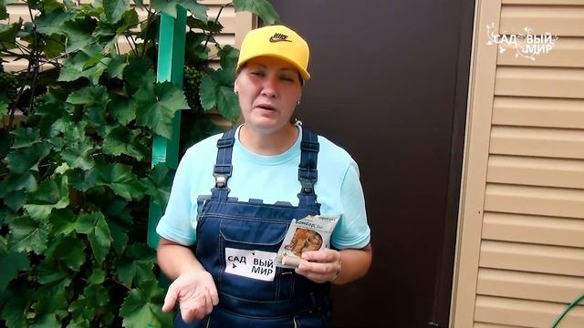 СтройТехнологии