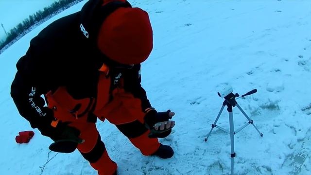 ПОЙМАЛИ ФОРЕЛЬ В НЕВЕ!!! РЫБАЛКА В ГЛУХОЗИМЬЕ (ФЕВРАЛЬ 2019) смотреть онлайн
