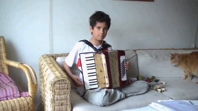 koen speelt accordeon.AVI смотреть онлайн