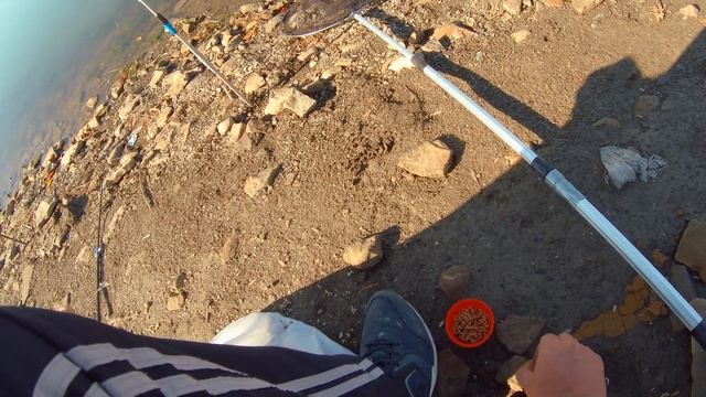 Первая осенняя рыбалка в ЛНР, Лутугино. смотреть онлайн