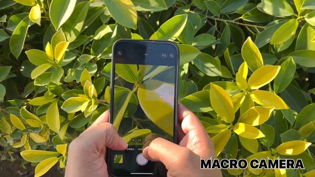 iPhon 14 Pro Max Camera Test & Full Camera Setting ✅ Apple 14 Pro Max смотреть онлайн