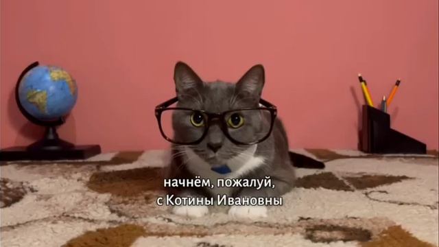 вырезанный фрагмент Котинет(18. июн 2023) смотреть онлайн