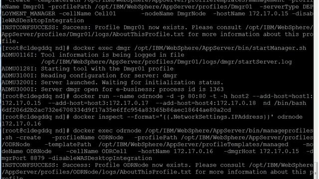 Demo on Intelligent Management configuration using Network Deployment docker containers смотреть онлайн