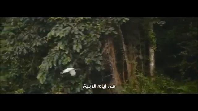 ****الوردة الذابلة**** смотреть онлайн