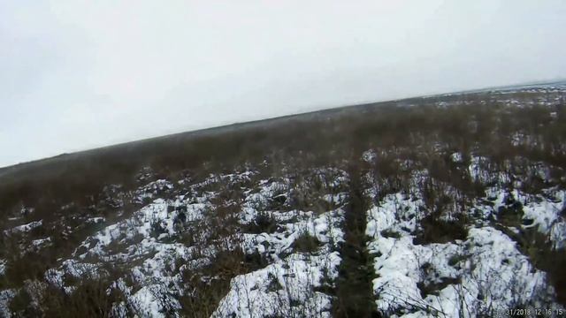 Охота на зайца.ВСЕ ЗАЙЦЫ сезона 2018-19г.ТОЗ 34.Hunting a hare.All the hares. смотреть онлайн