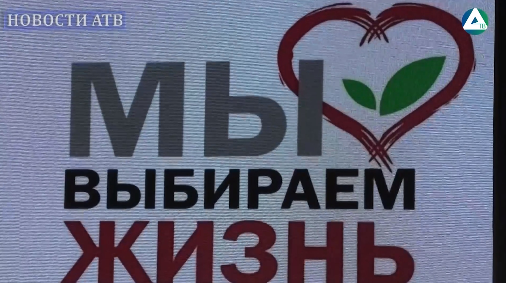 Информация по профилактике наркомании смотреть онлайн