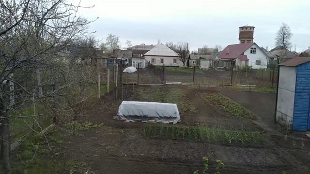 ?У нас прошёл грязный дождь с вулкана ? смотреть онлайн