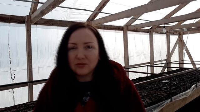 Подготовка почвы для посадки ежевики и малины смотреть онлайн