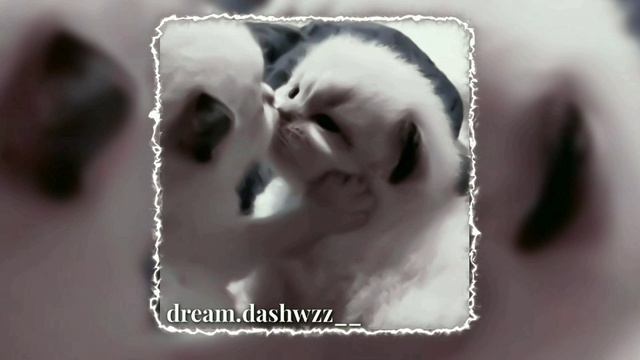 ||Последний танец - TINI LIN (Speed up+Nightcore TikTok Remix)Зачем ты раздеваешься||dream.dashwzz_ смотреть онлайн